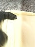 Giorgio Armani Ivory Long Sleeve Top Size 6 - photo 8