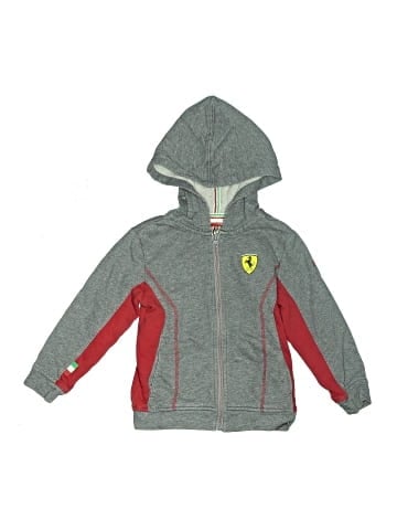 Puma Zip Up Hoodie (view 1)