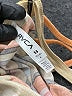RVCA Stripes Tan Casual Dress Size XS - photo 7