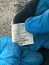 Fate Stripes Blue Pullover Sweater Size XS - photo 8