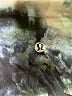 Lululemon Athletica Tie-dye Blue Active Pants Size 4 - photo 4