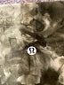 Lululemon Athletica Tie-dye Green Leggings Size 2 - photo 7