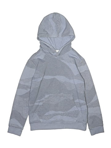 DSG Pullover Hoodie (view 1)