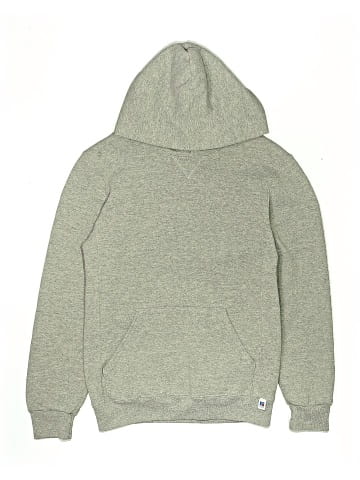 Russell Athletic Pullover Hoodie (view 1)