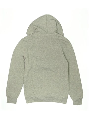 Russell Athletic Pullover Hoodie (view 2)