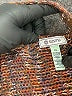 Susina Tweed Brown Pullover Sweater Size XL - photo 7