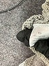 LA Hearts Stripes Gray Pullover Sweater Size XS - photo 8