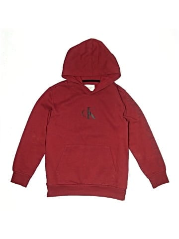 CALVIN KLEIN JEANS Pullover Hoodie (view 1)