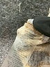 Crescent Drive Animal Print Brown Short Sleeve T-Shirt Size 2 - photo 8