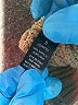 Ambiance Apparel 100% Acrylic Brown Pullover Sweater Size S - photo 8