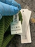 Vimpunec 100% Acrylic Green Pullover Sweater Size S - photo 8