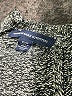 American Eagle Outfitters Metallic Gray Pullover Sweater Size XS - photo 7