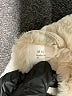 Unbranded 100% Polyester Solid Ivory Jacket Size 10 - photo 3