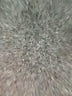 Shein Purple Tank Top Size 2 - photo 8