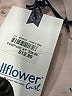 Wallflower Solid Ivory Cargo Pants Size 12 - photo 4