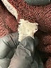Field Flower Brown Turtleneck Sweater Size S - photo 9