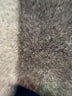 Roaman's Blue Active Pants Size 22 (1X) - photo 4