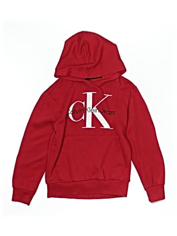 CALVIN KLEIN JEANS Pullover Hoodie (view 1)