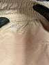 Albion Solid Tan Casual Pants Size XL - photo 5