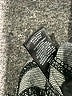 Sanctuary Houndstooth Black Casual Pants Size S - photo 5