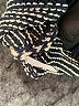 Madewell Stripes Blue Pullover Sweater Size XXS - photo 8