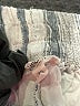 Splendid Stripes Silver Shorts Size XS - photo 3