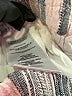 Splendid Stripes Silver Shorts Size XS - photo 4