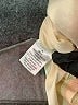 Roolee 100% Polyester Ivory Casual Dress Size M - photo 7