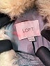 Ann Taylor LOFT Gray Coat Size XS - photo 6
