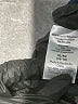Time and Tru Blue Pullover Sweater Size XL - photo 8