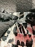 See and Be Seen 100% Polyester Animal Print Silver Casual Pants Size M - photo 7