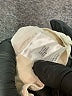 Assorted Brands 100% Cotton Ivory Jeans Size S - photo 8