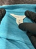 Caslon Teal Pullover Sweater Size M - photo 7