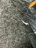 lucy Chevron-herringbone Gray Active Pants Size XS - photo 8