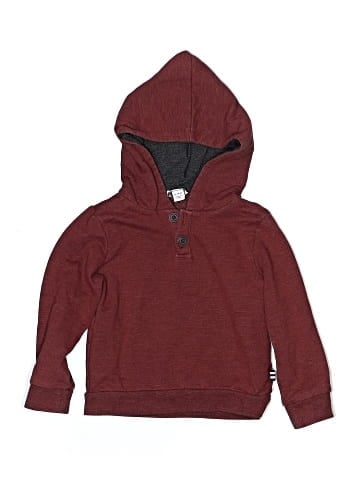 Splendid Pullover Hoodie (view 1)