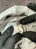 Caslon Gray Turtleneck Sweater Size M (petite) - photo 7