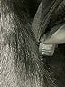 Express Solid Black Cardigan Size S - photo 8