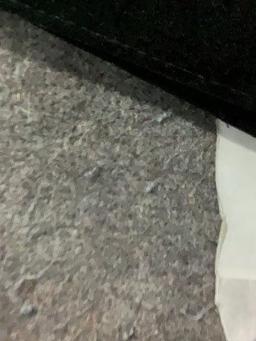 Nocturne Belt (view 2)