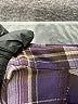 Koret Plaid Purple Long Sleeve Button-Down Shirt Size XXL (estimated) - photo 5