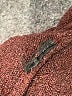 Field Flower Brown Turtleneck Sweater Size S - photo 8