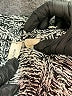 Moth Tweed Gray Pullover Sweater Size S - photo 7
