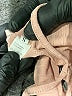 Unbranded Tan Tube Top Size S - photo 7