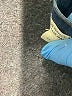 Madewell Blue Jeans Size 28 waist - photo 8