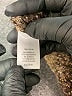 Michael Stars Metallic Brown Pullover Sweater Size M - photo 7