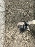 Robbi & Nikki Animal Print Black Casual Skirt Size L - photo 5