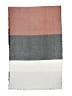 Express Gray Tan Scarf One size - photo 2