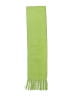Alpaca Camargo Green Scarf One size - photo 2