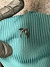 Glyder Teal Active Pants Size L - photo 8