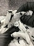 Unbranded 100% Polyester Animal Print White Casual Dress Size M - photo 8
