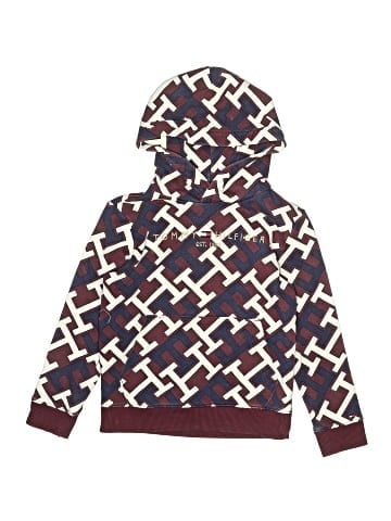 Tommy Hilfiger Pullover Hoodie (view 1)